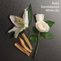 Calvin Klein Eternity Eau De Parfum -Outlet Rosmiral Store 2011350cm alt02