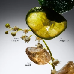 Philosophy Amazing Grace Eau De Toilette -Outlet Rosmiral Store 2154026cm alt02