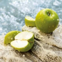 Dolce & Gabbana Light Blue Eau De Toilette Travel Spray -Outlet Rosmiral Store 2253338cm alt03