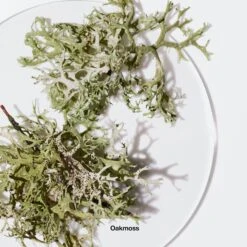 Clinique Calyx Eau De Parfum Spray -Outlet Rosmiral Store 2267352 alt04