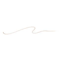 Precisely, My Brow Pencil Waterproof Eyebrow Definer