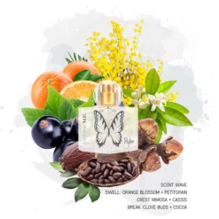 Payton Natural Perfume Mist 9 Payton Natural Perfume Mist -Outlet Rosmiral Store 2509897cm alt02