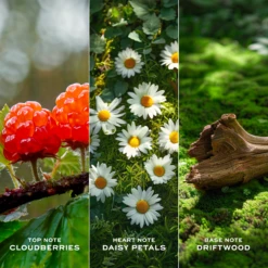 Marc Jacobs Daisy Love Eau De Toilette