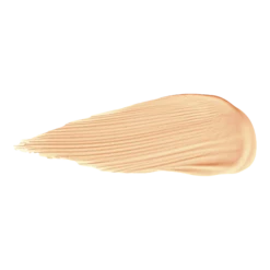 Duet Perfecting Concealer