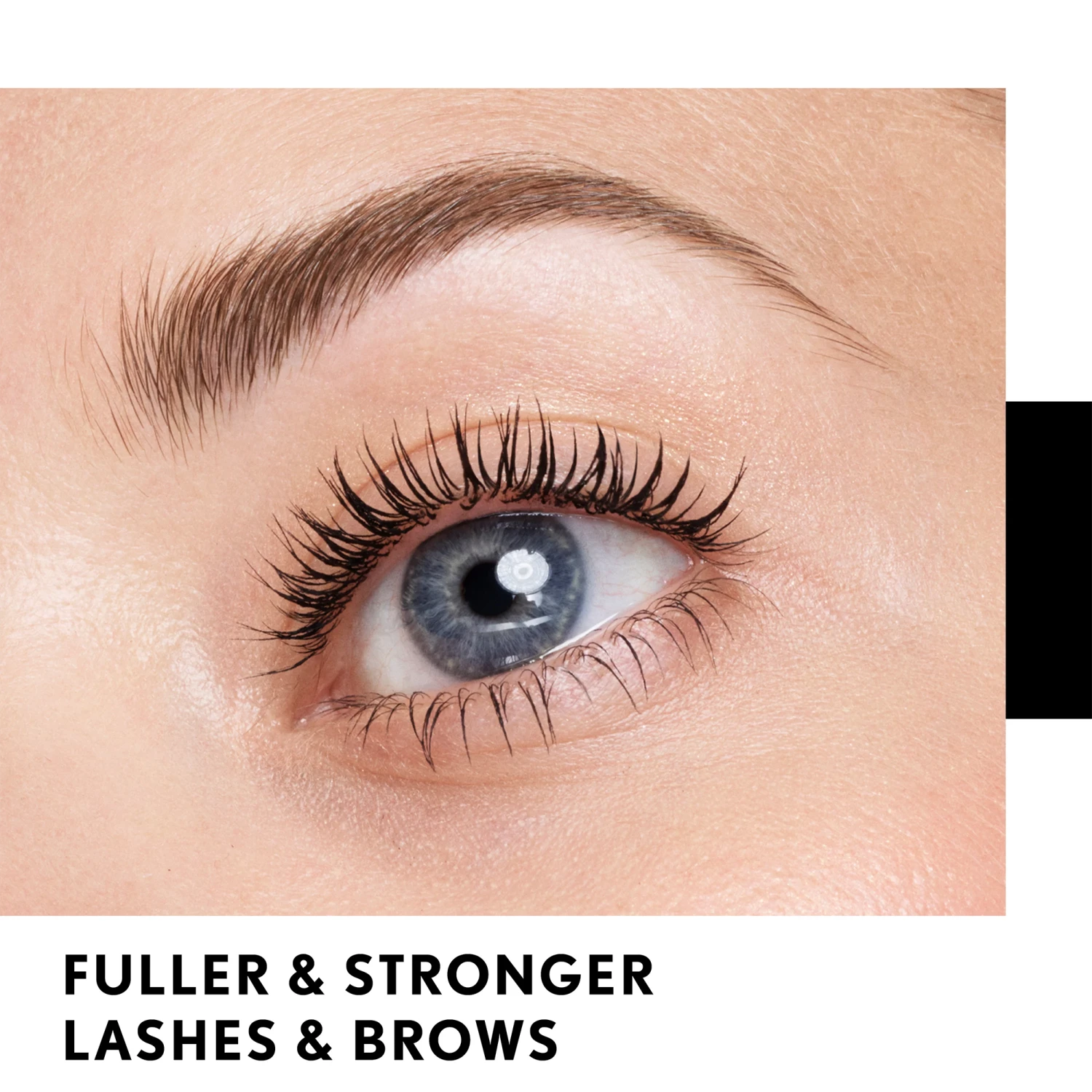 Lash Blast Lash & Brow Serum 2 Lash Blast Lash & Brow Serum - Image 2