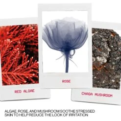 Smashbox Photo Finish Correct Anti-Redness Primer -Outlet Rosmiral Store 2588006 alt06