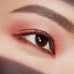 Estee Lauder Pure Color Envy Luxe Eyeshadow Quad