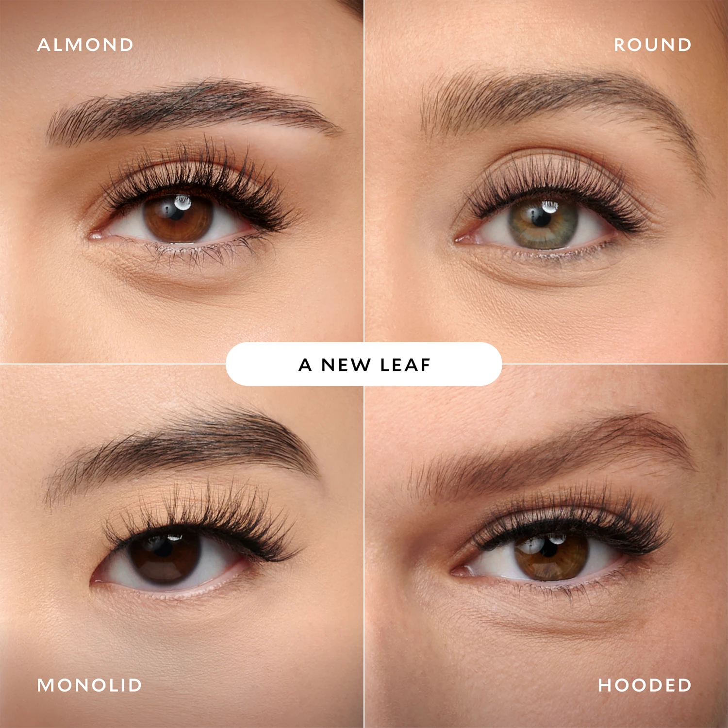 A New Leaf Plant Fibre Natural False Lashes 4 A New Leaf Plant Fibre Natural False Lashes - Image 4