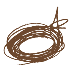 Brow MVP Ultra Fine Brow Pencil & Styler 10 Brow MVP Ultra Fine Brow Pencil & Styler -Outlet Rosmiral Store 2592330 sm