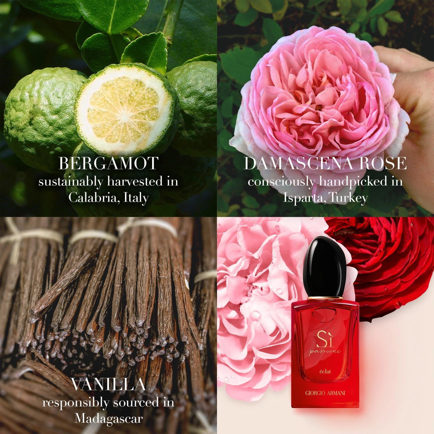 Armani Sì Passione Éclat Eau De Parfum 2 Armani Sì Passione Éclat Eau De Parfum - Image 2