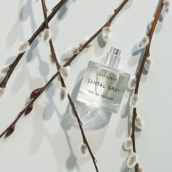 Santal Gray Eau De Parfum