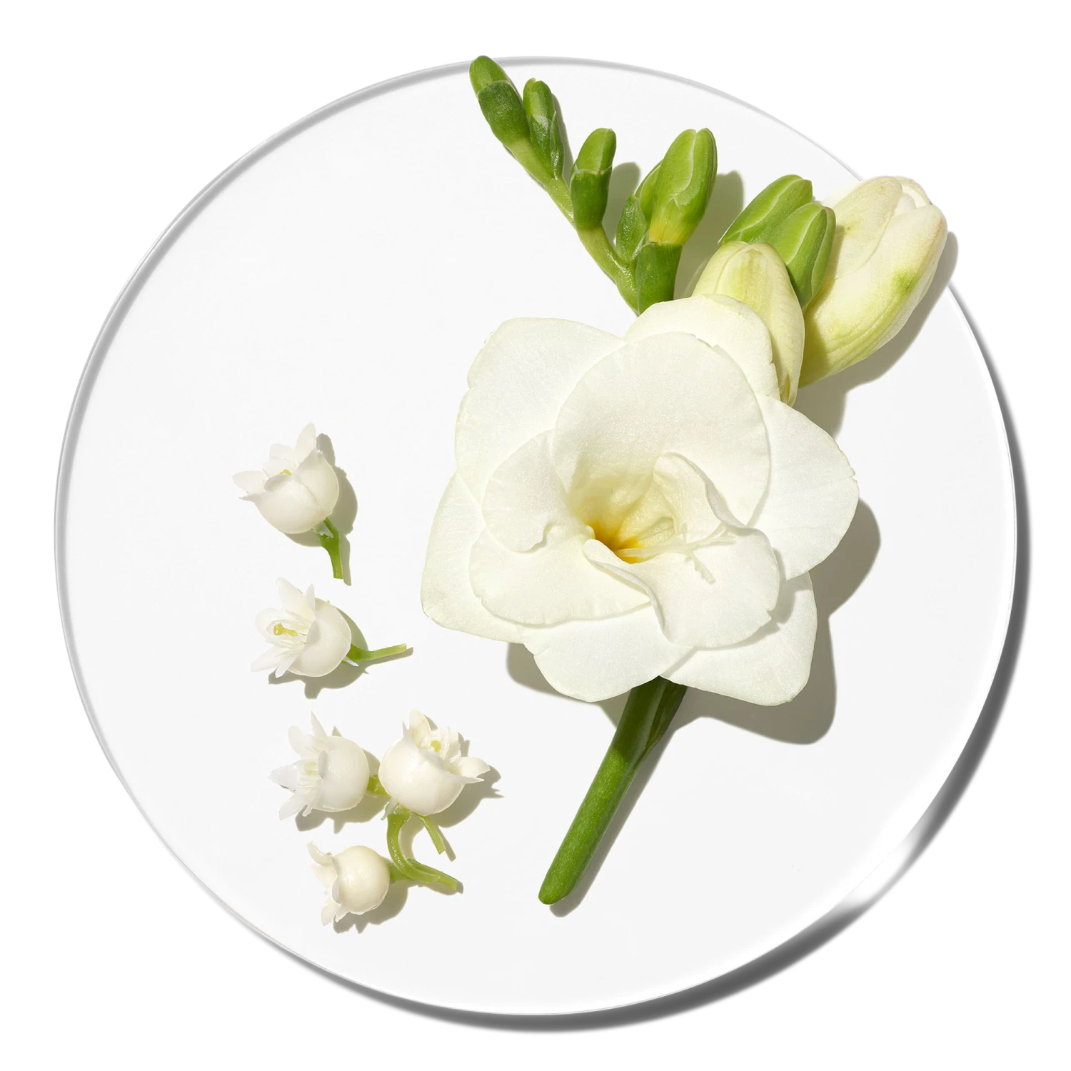 Clinique Happy In Bloom Perfume Spray 1 Clinique Happy In Bloom Perfume Spray