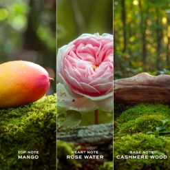 Marc Jacobs Daisy Ever So Fresh Eau De Parfum -Outlet Rosmiral Store 2599351cm alt02