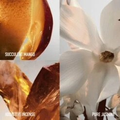 Fame Eau De Parfum -Outlet Rosmiral Store 2605076cm alt02