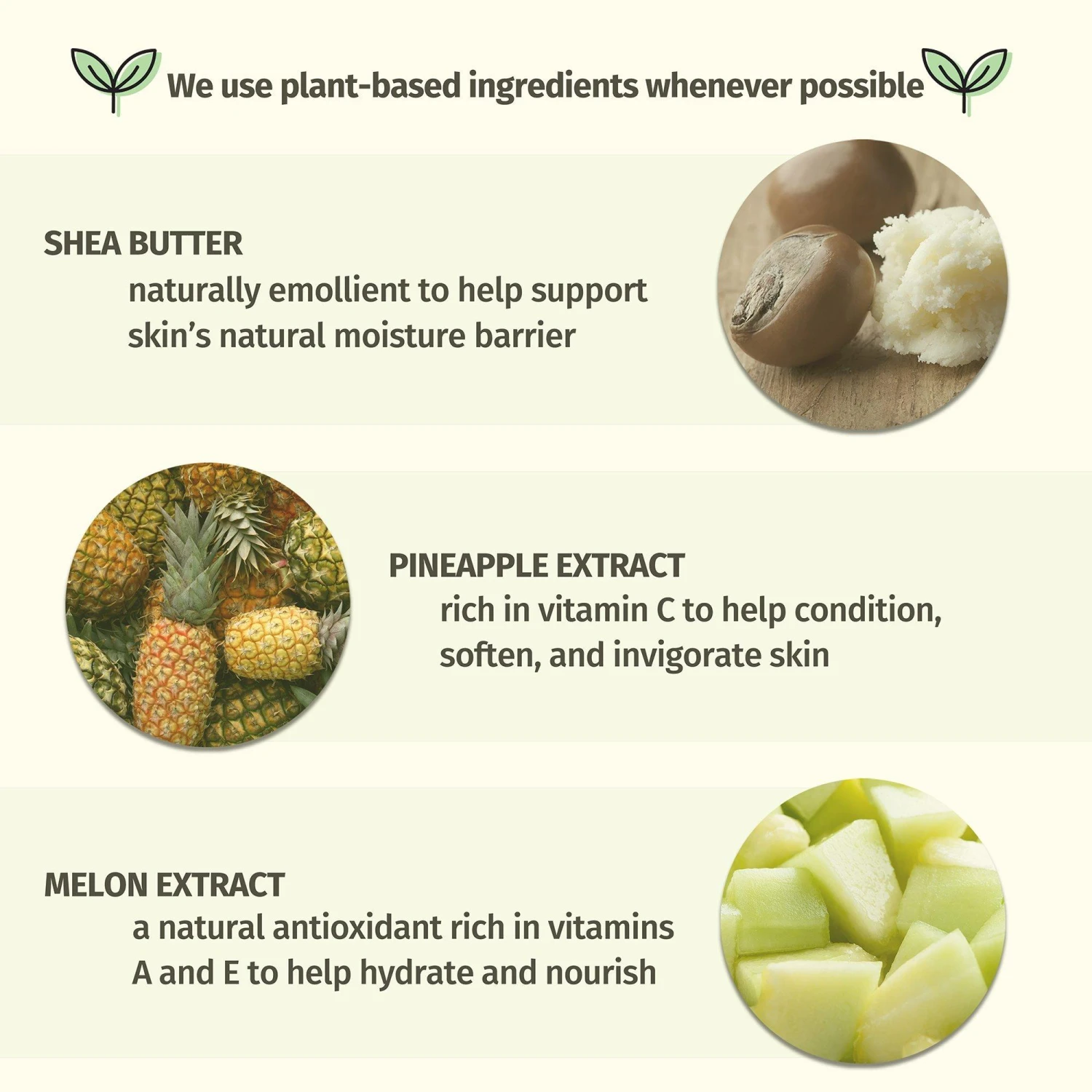 Sweet Pineapple & Honey Melon Moisturizing Herbal Body Mist 1 Sweet Pineapple & Honey Melon Moisturizing Herbal Body Mist