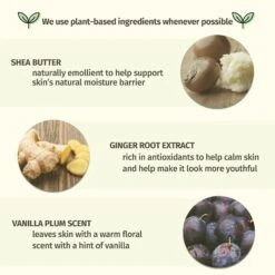 Vanilla Plum Moisturizing Herbal Body Mist 8 Vanilla Plum Moisturizing Herbal Body Mist -Outlet Rosmiral Store 2607439 alt02