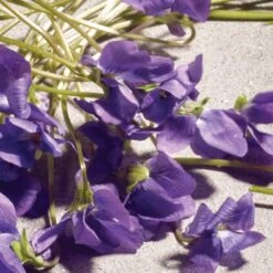 Dolce & Gabbana Dolce Violet Eau De Toilette -Outlet Rosmiral Store 2608506cm alt04