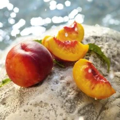 Dolce & Gabbana Light Blue Summer Vibes Eau De Toilette -Outlet Rosmiral Store 2608849cm alt03