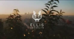 WEST Eau De Parfum -Outlet Rosmiral Store 29e96eb1 079d 48e2 9e59 b57a48ab56fa