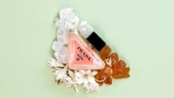 Prada Paradoxe Eau De Parfum 10 Prada Paradoxe Eau De Parfum -Outlet Rosmiral Store 39d27df9 635f 44d3 9759 b5e91a4cf399